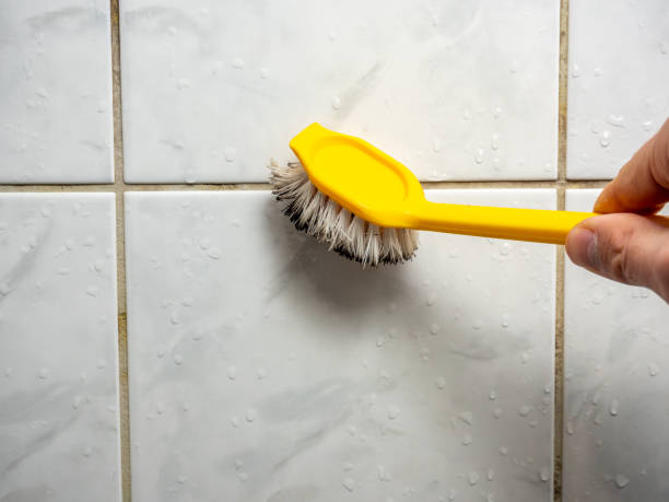 Best Affordable Mold Removal  in Lexington, TX