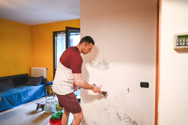 Best Mold Remediation Experts  in Lexington, TX